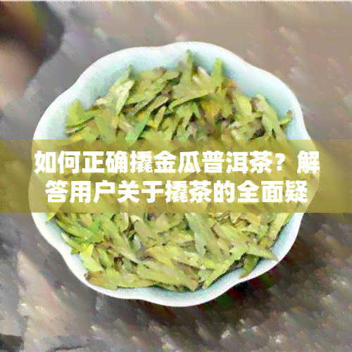 如何正确撬金瓜普洱茶？解答用户关于撬茶的全面疑问