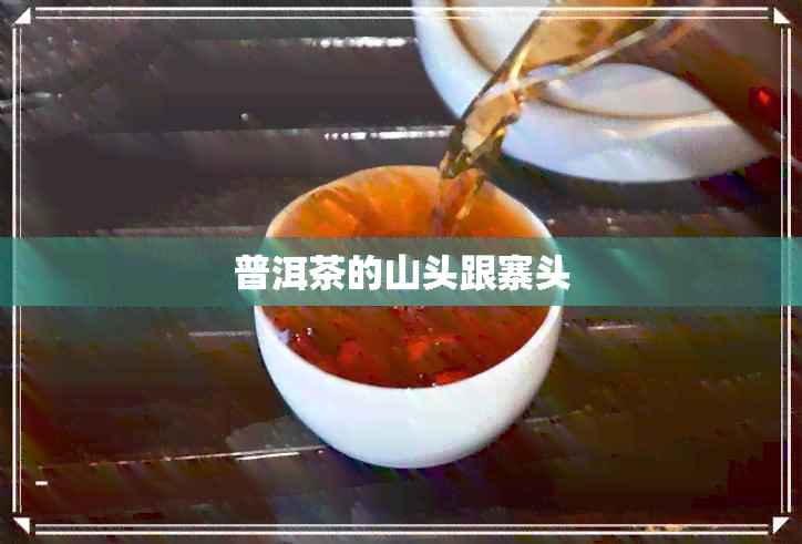 普洱茶的山头跟寨头