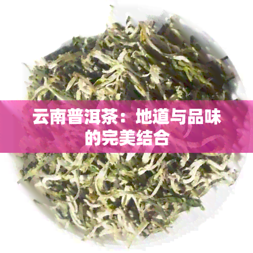 云南普洱茶：地道与品味的完美结合