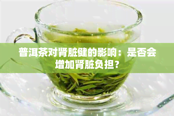 普洱茶对肾脏健的影响：是否会增加肾脏负担？