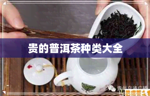 贵的普洱茶种类大全