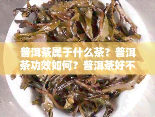 普洱茶属于什么茶？普洱茶功效如何？普洱茶好不好？请百度百科。