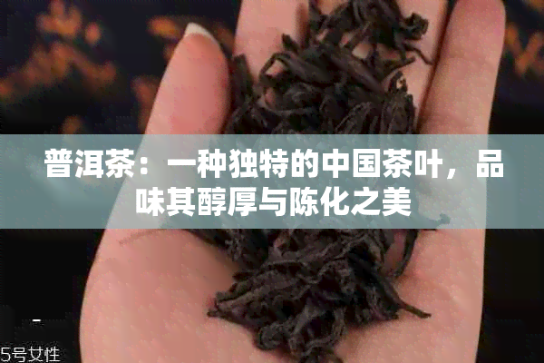 普洱茶：一种独特的中国茶叶，品味其醇厚与陈化之美