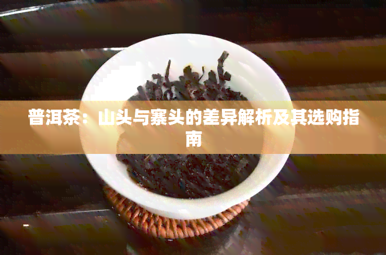 普洱茶：山头与寨头的差异解析及其选购指南