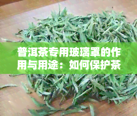 普洱茶专用玻璃罩的作用与用途：如何保护茶叶、展示品质与观价值？