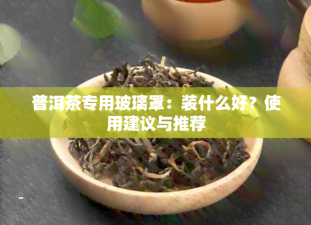 普洱茶专用玻璃罩：装什么好？使用建议与推荐