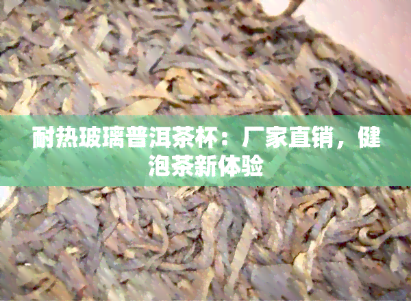 耐热玻璃普洱茶杯：厂家直销，健泡茶新体验