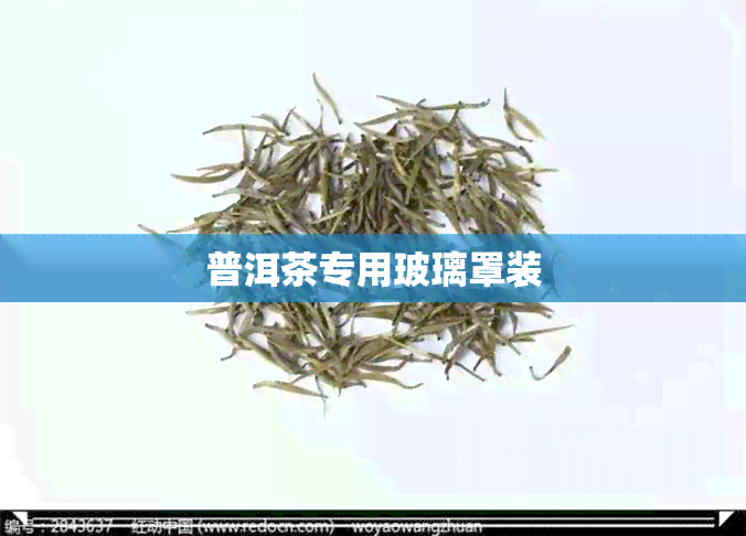 普洱茶专用玻璃罩装