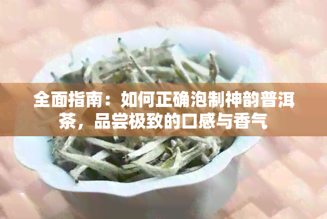 全面指南：如何正确泡制神韵普洱茶，品尝极致的口感与香气