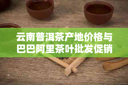 云南普洱茶产地价格与巴巴阿里茶叶批发促销对比分析