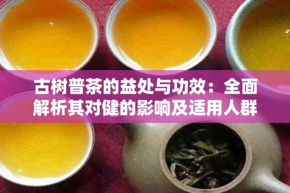 古树普茶的益处与功效：全面解析其对健的影响及适用人群