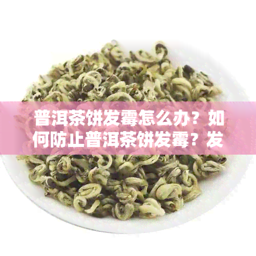 普洱茶饼发霉怎么办？如何防止普洱茶饼发霉？发霉的普洱茶饼还能喝吗？