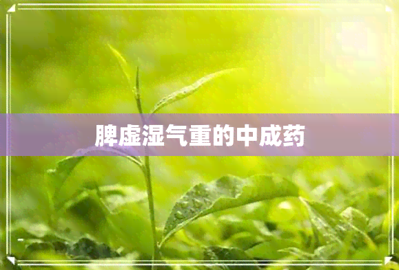 脾虚湿气重的中成