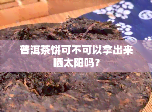 普洱茶饼可不可以拿出来晒太阳吗？