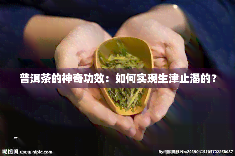 普洱茶的神奇功效：如何实现生津止渴的？