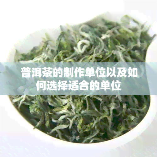 普洱茶的制作单位以及如何选择适合的单位