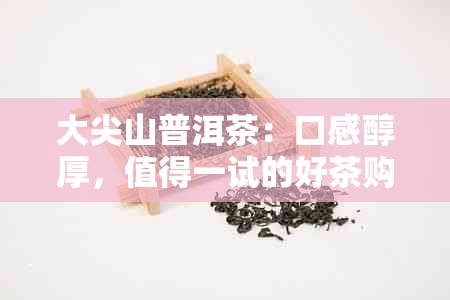 大尖山普洱茶：口感醇厚，值得一试的好茶购买指南