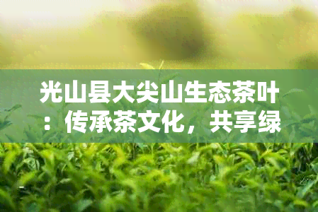 光山县大尖山生态茶叶：传承茶文化，共享绿色生活