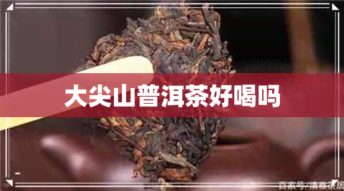 大尖山普洱茶好喝吗