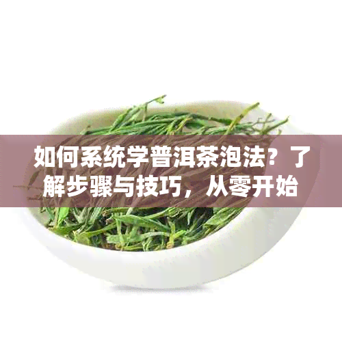 如何系统学普洱茶泡法？了解步骤与技巧，从零开始成为泡茶达人