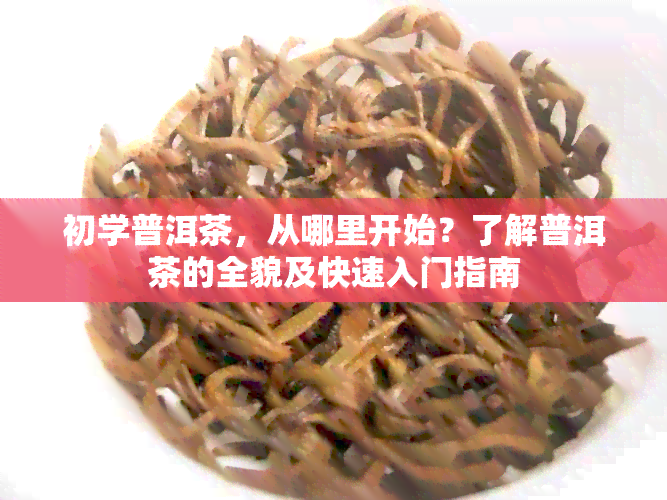 初学普洱茶，从哪里开始？了解普洱茶的全貌及快速入门指南