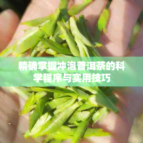 精确掌握冲泡普洱茶的科学程序与实用技巧