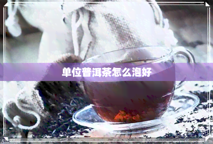 单位普洱茶怎么泡好