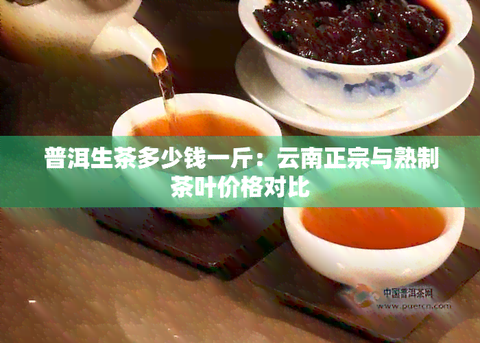 普洱生茶多少钱一斤：云南正宗与熟制茶叶价格对比