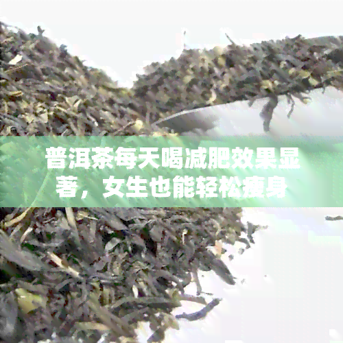 普洱茶每天喝减肥效果显著，女生也能轻松瘦身