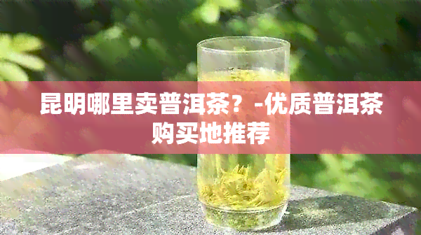 昆明哪里卖普洱茶？-优质普洱茶购买地推荐