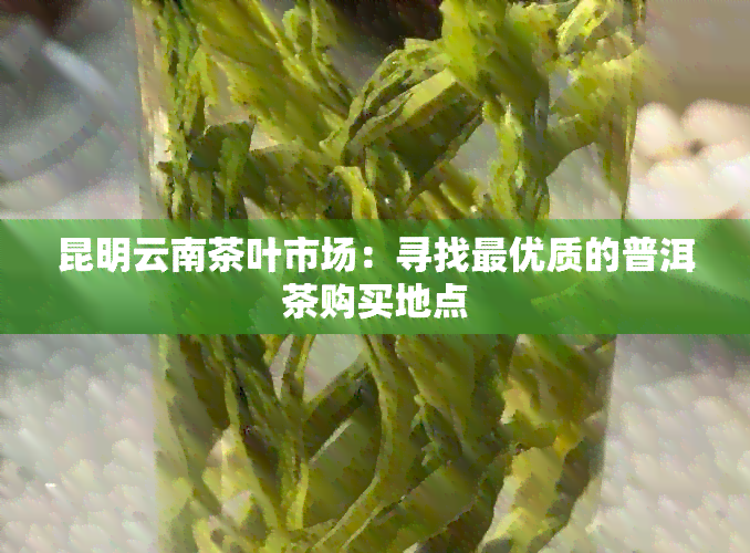 昆明云南茶叶市场：寻找更优质的普洱茶购买地点