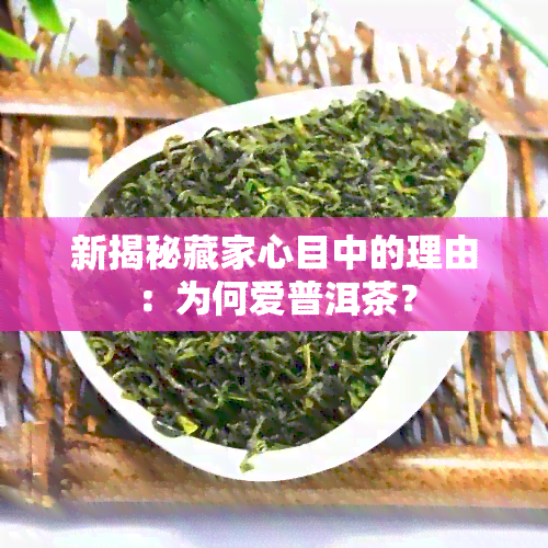 新揭秘藏家心目中的理由：为何爱普洱茶？