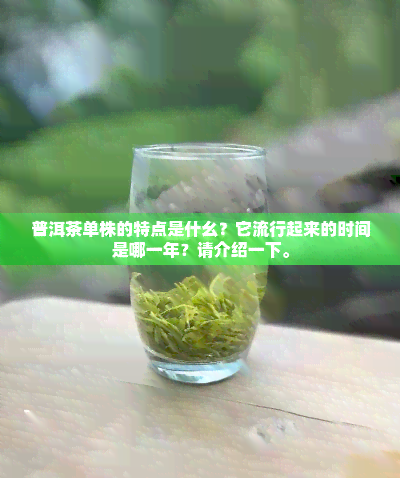 普洱茶单株的特点是什幺？它流行起来的时间是哪一年？请介绍一下。