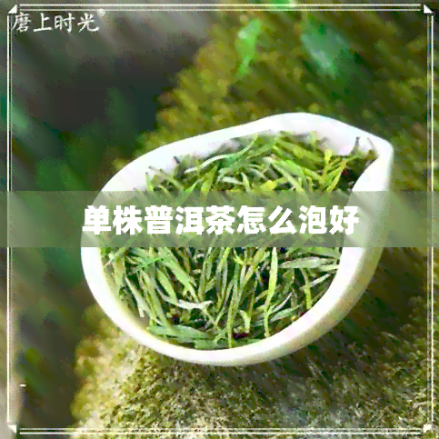 单株普洱茶怎么泡好