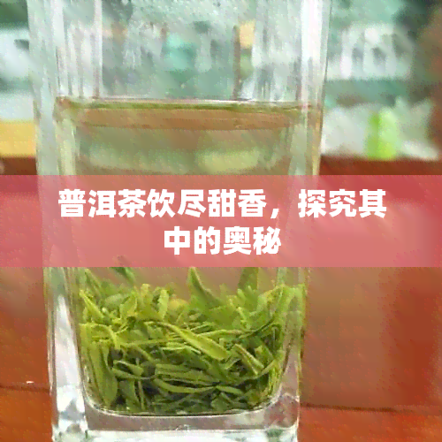 普洱茶饮尽甜香，探究其中的奥秘