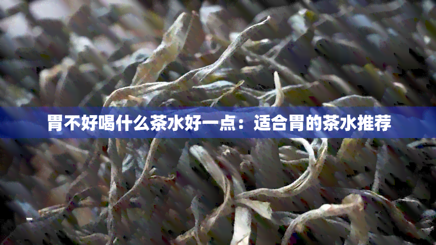 胃不好喝什么茶水好一点：适合胃的茶水推荐