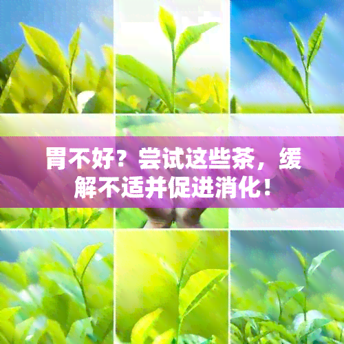 胃不好？尝试这些茶，缓解不适并促进消化！