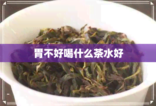 胃不好喝什么茶水好