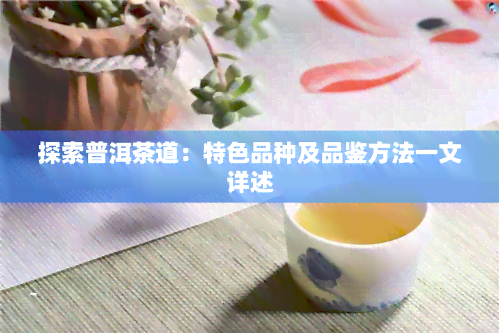 探索普洱茶道：特色品种及品鉴方法一文详述