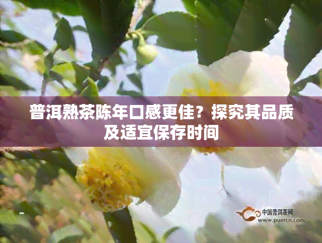 普洱熟茶陈年口感更佳？探究其品质及适宜保存时间