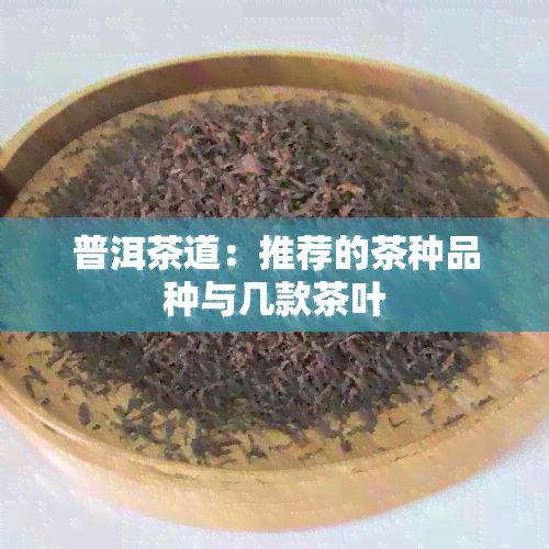 普洱茶道：推荐的茶种品种与几款茶叶