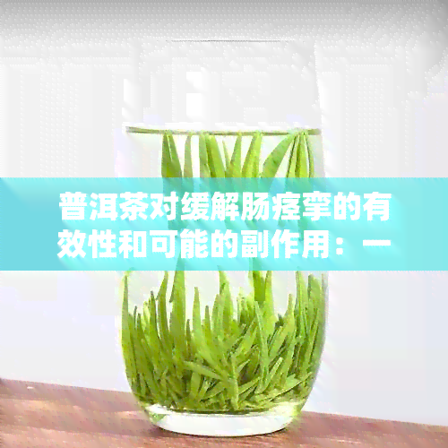 普洱茶对缓解肠痉挛的有效性和可能的副作用：一次全面的探讨