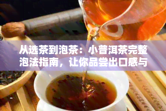 从选茶到泡茶：小普洱茶完整泡法指南，让你品尝出口感与香气