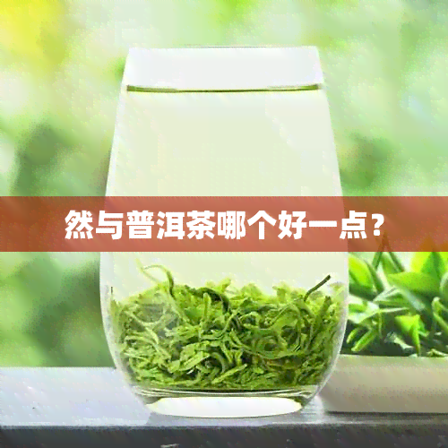 然与普洱茶哪个好一点？