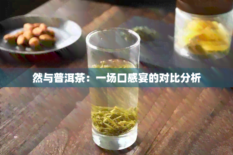 然与普洱茶：一场口感宴的对比分析