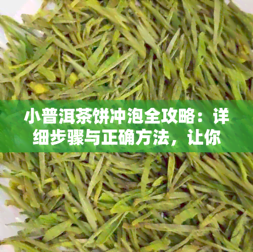 小普洱茶饼冲泡全攻略：详细步骤与正确方法，让你品尝到完美的茶香