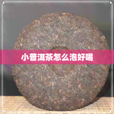 小普洱茶怎么泡好喝