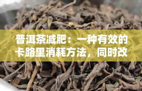 普洱茶减肥：一种有效的卡路里消耗方法，同时改善新陈代谢与消化系统的运作