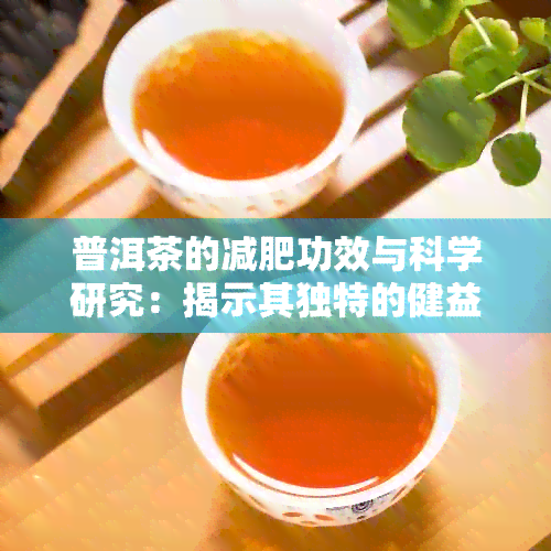 普洱茶的减肥功效与科学研究：揭示其独特的健益处