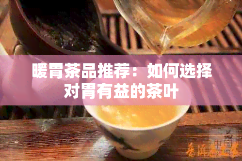 暖胃茶品推荐：如何选择对胃有益的茶叶